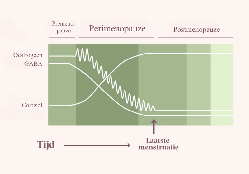 Hoe de hormonale kettingreactie tijdens de overgang je slaap verstoort